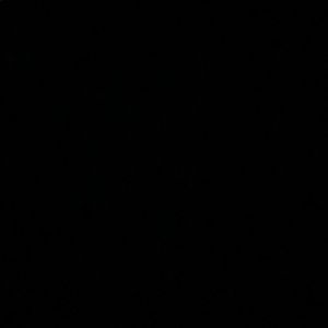 Meet your Posher, Rudy